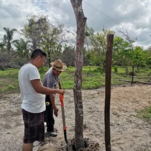 David Murano Labastida18